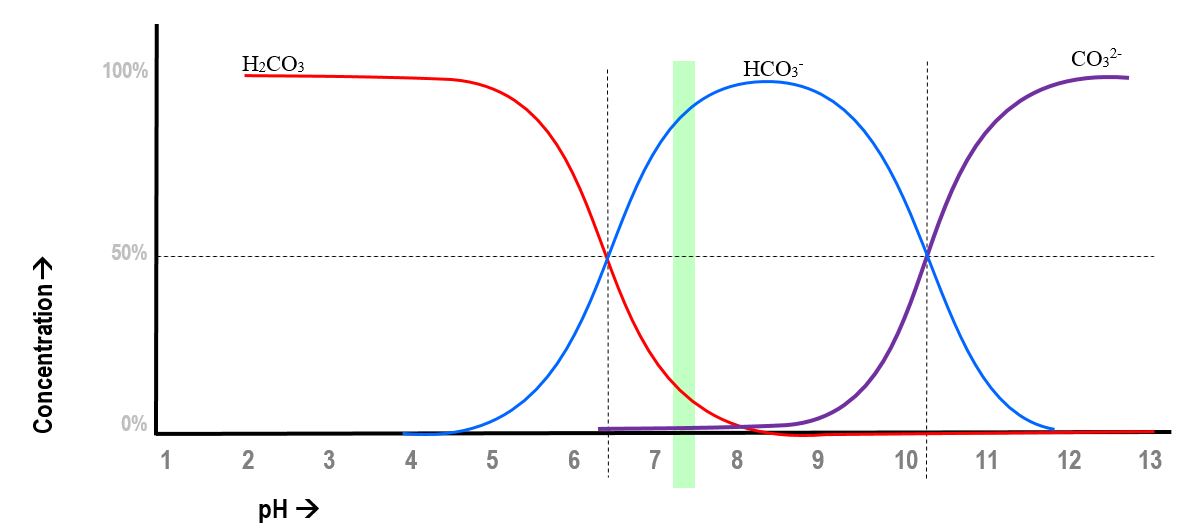 Buffering in acute respiratory acidbase disturbances Deranged Physiology